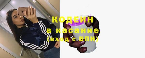 индика Аркадак