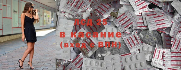 индика Аркадак