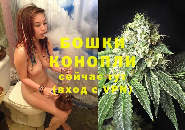 индика Аркадак