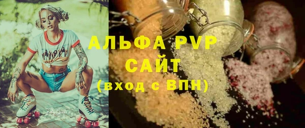 индика Аркадак