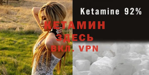 индика Аркадак
