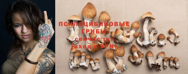 метамфетамин Каменск-Шахтинский