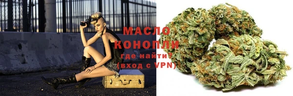 индика Аркадак
