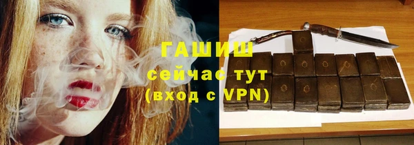 индика Аркадак