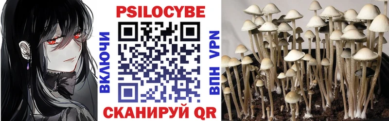 Псилоцибиновые грибы MAGIC MUSHROOMS  Полярный 